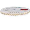 Blendend Striscia LED 24V DC SMD2835 Serie Letters IP20 120 Led/m - 5 Metri Blu