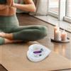 Ornamenti decorativi per ciotole di cristallo di selenite, regalo