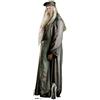 Star Cutouts Ltd, Cartonato a grandezza naturale di Albus Silente di Harry Potter Books, ritagliato, alto 184 cm, SC645