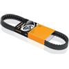 CONTITECH 6PK1623 Cinghie Trapeiz