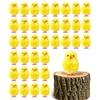 Whrcy Pulcini Pasquali Piccoli - Set di 36 Simpatici Pulcini Pasquali in Ciniglia Gialla Soffice | Pulcini Gialli di Pasqua per Bomboniere Decorazione per Giardino Domestico Primaverile per Bambini