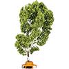 Hornby Albero (con il banco Circular)