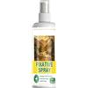 Générique Fissa da disegno per arte | 100 ml Anti-sbavatura ad asciugatura rapida Primer,Spray fissativo per pastelli | per pittura arte carta da parati acrilica guazzo a carboncino oli