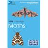 Marianne Taylor RSPB ID Spotlight - Moths (Mixed Media Product) RSPB