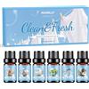 HANOLLY Oli Essenziali Pulito per Diffusori 6x10ml, Olio Essenziale Naturali per