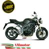 Mivv Triumph Speed Triple 1050 2010 Terminale Di Scarico Per Moto Gp Carbonio