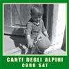 Coro Della S.A.T. Canti Degli Alpini (CD)