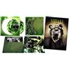 Nirvana Greatest Hits Live (Vinyl LP) 12" Album Picture Disc