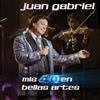 UNIVERSAL MUSIC GROUP Mis 40 en Bellas Artes