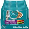 Purina ONE Appetito Difficile Filettini in salsa Cibo per Gatti con Pollo e Manzo, Tacchino e Anatra, 48 Buste da 85 g
