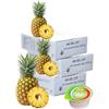 FoodAR AM Gel Cup Acquagel Ananas con Zucchero Acqua Gelificata - 72 Vasetti da 125 g