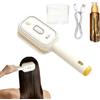 Generico Electric Spray Air Cushion Massage Comb | Rechargeable Steam Hair Straightener With Spray, Portable Cordless Tool For Smoothing Styling & Frizz Control