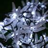 Treer Catena Luminosa Solare Esterno, Luci Solari da Giardino Impermeabile 8 Modalità Luci a Forma di Libellula Esterno Decorative per Patio Terrazze Festival Matrimoni (Bianco,5M 20LED)