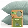 Dreamzie - Federa Cuscino 30x50 cm - Set da 2-100% Cotone Bio - Verde