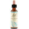 SCHWABE PHARMA ITALIA Srl ROCK WATER BACH ORIG 20 ML