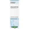 ERBA VITA GROUP SPA SPACCAPIETRA TINTURA IDROALCOLICA 50 ML EBV