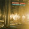 Elliot Sharp Concert in Dachau (CD) Album