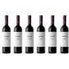 Batasiolo, BARBERA D'ALBA DOC, Vino Rosso Fermo Secco, Sapore Equilibrato Vintage - Confezione da 6