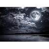 Runa Art Carta da parati fotografica Luna piena Notte 352 x 250 cm Vello Sfondo Murale XXL Moderne Decorazione Soggiorno Camera De Letto Sala Ufficio Bianco e nero 9116011c