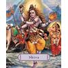 James H Bae Shiva (Copertina rigida)