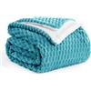 Aisbo Coperta Plaid Pile di Sherpa 130x150 cm, Bleu Canard - Invernale Coperta Pelosa- Divano/Letto Matrimoniale King, Copridivano di Microfibra Calda e Morbida, Regalo Perfetto