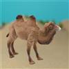 Miniatura di cammello del deserto, statuetta di cammello, modello cammello,