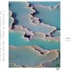 Arp Zebra (CD) Album
