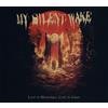 My Silent Wake Lost In Memories, Lost In Grief (CD)