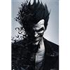 Grupo Erik Publishers Group GPE 4908 - Batman Joker Poster, 61 x 91.5 cm