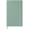 Moleskine Agenda Settimanale 2027, Planner 12 Mesi Con Spazio Per Note, Copertina Rigida e Chiusura Elastica, Formato Large 13x21 cm, Colore Verde Salvia