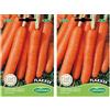 Germisem Flakkee Semi di Carota 10 g (Confezione da 2)