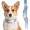 MiOYOOW Collare rinfrescante per cani, regolabile, in gel di ghiaccio, con gancio e anello, bandana rinfrescante per animali domestici, per cani di piccola e media taglia