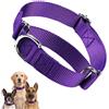 HimyBB Collare per cani Martingal Lilla per Cani, Escape Proof No Pull Cinch, Collare regolabile per cani di piccola taglia media
