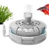 Generico Filtro Mini Acquario,Filtro Per Vasca Per Pesci | Aeratore Di Ricambio Acqua Tartarughe Gamberetti Terrari E Stagni I E Sostanze Tossiche Efficacemente Garantendo Acquario Stabile E Inco