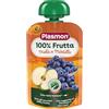 Plasmon 100% Frutta Mela e Mirtillo 100g Pouch Con aggiunta di Vitamina C, solo gli zuccheri della frutta (Confezione da 10)