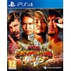 Deep Silver Fire Pro Wrestling World - PlayStation 4