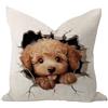 WSDESDEC Federa quadrata per cuscino con barboncino che sbircia 55,9 x 56 cm, in iuta e lino, per amanti dei cani e dei gatti, decorazione per esterni, divano, letto, fattoria