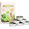 KOTARBAU® Set di 6 candele profumate per tè verde, 4 ore