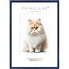 PrimeLuxe Cornice portafoto su misura, sottile, 24 x 33 cm, in blu navy lucido, dimensioni a scelta, con vetro acrilico antiriflesso, cornice per poster, puzzle, collage fotografico
