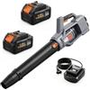 Outsunny Soffiatore per Foglie Cordless 36V con 1000W Verde