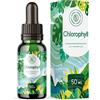 Alpha Foods Clorofilla Gocce - clorofilla liquida di erba di grano, erba medica e clorella - insapore, senza iodio - fino a quattro volte maggiore concentrazione di clorofillinina - 50 ml