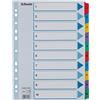 Esselte Rubrica con Tasti 1-10, Formato A4, Tasti e Banda Perforata con Rinforzo in Plastica Mylar, Cartoncino Robusto, Blu, 10 Tasti con Pagina Indice, 100161