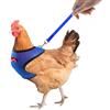 Générique Imbracatura per galline con corda - guinzaglio regolabile di trazione | animali giacca comoda per gallina corda di allenamento 1,1 m galline anatre oche e piccoli animali