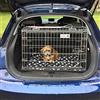 Pet World - Gabbia inclinata per cani da viaggio, compatibile con Audi A1 Sportback