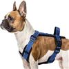 LiebeDD Pettorina per cani blu S - Pettorina per cani piccola Riflettente Anti Tiraggio Cane Pettorina Imbottita con Manico Dog Harness per cuccioli Cani di piccola e media taglia