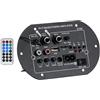 Yindhgdr Scheda Amplificatore di Potenza per HiFi da 12 V, 24 V e 220 V con Modulo Lettore USB, Doppi Microfoni per Audiofili, Spina UE