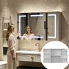 Armadietto a Specchio per Bagno con LED e USB, Mobiletto da Toilette, Antiappannamento, Armadietto da Bagno a Parete, Ripiani Regolabili, 100x13.5x60cm