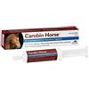 N.B.F. LANES Srl Carobin horse pasta appetibile siringa 100 g