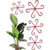 Whnbuij Supporto per vite - Set di 4 ramoscelli per pali di piante, clip di supporto per impilabili | Supporti per foglie di Alocasia Monstera, traliccio di fissaggio per piante rampicanti di alta qualit