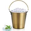 HERCHR Mini Secchiello, secchiello per bottiglia con manico, Secchiello per Il Ghiaccio per Vino Champagne, Contenitore del Cubetto di Ghiaccio in Acciaio Inox Per Champagne, Birra, Vino(D'oro)